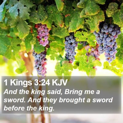1 Kings 3:24 KJV Bible Verse Image