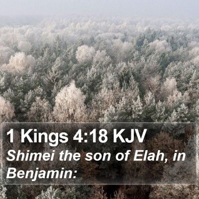 1 Kings 4:18 KJV Bible Verse Image