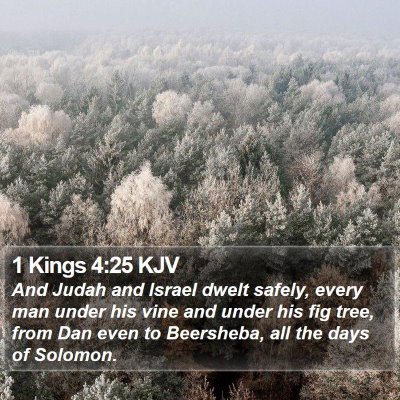 1 Kings 4:25 KJV Bible Verse Image