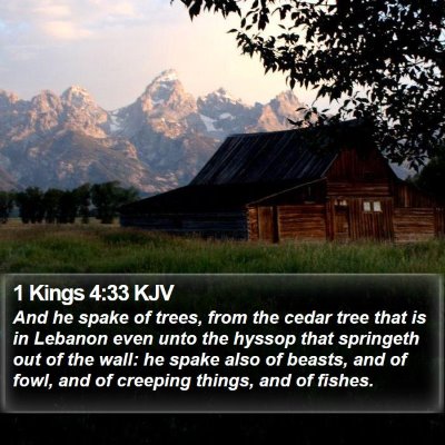 1 Kings 4:33 KJV Bible Verse Image