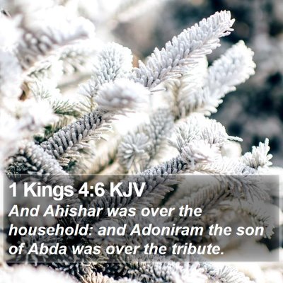 1 Kings 4:6 KJV Bible Verse Image