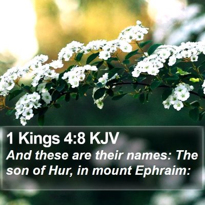 1 Kings 4:8 KJV Bible Verse Image