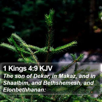 1 Kings 4:9 KJV Bible Verse Image