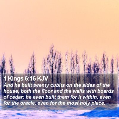 1 Kings 6:16 KJV Bible Verse Image
