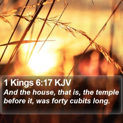1 Kings 6:17 KJV Bible Verse Image