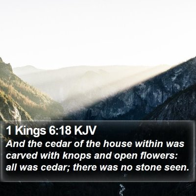 1 Kings 6:18 KJV Bible Verse Image