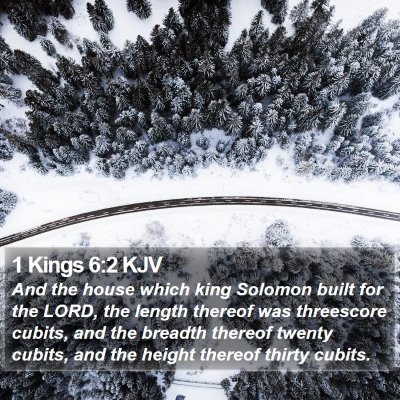 1 Kings 6:2 KJV Bible Verse Image