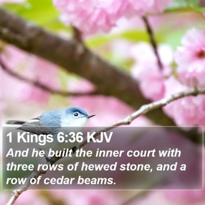 1 Kings 6:36 KJV Bible Verse Image