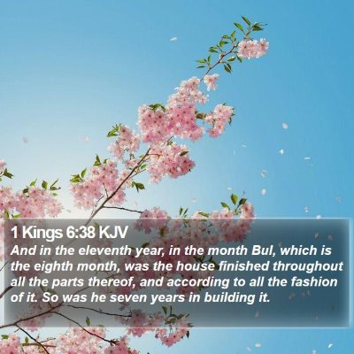 1 Kings 6:38 KJV Bible Verse Image