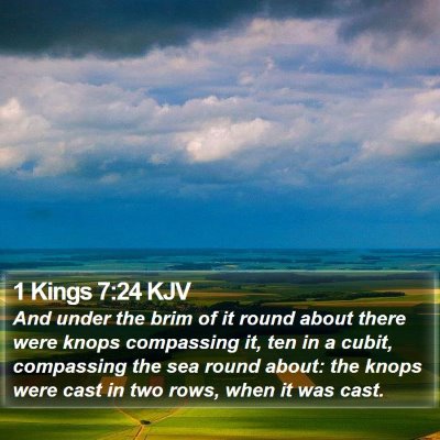 1 Kings 7:24 KJV Bible Verse Image