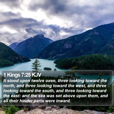 1 Kings 7:25 KJV Bible Verse Image
