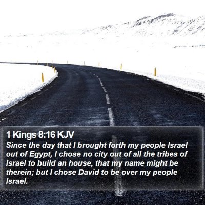 1 Kings 8:16 KJV Bible Verse Image