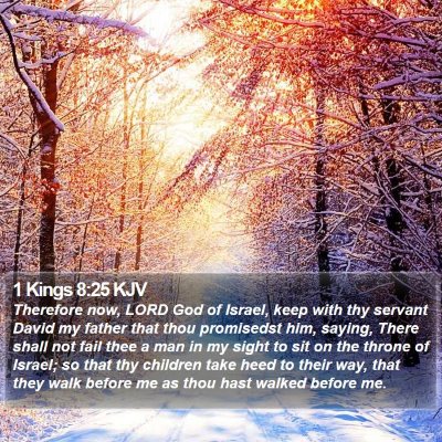 1 Kings 8:25 KJV Bible Verse Image