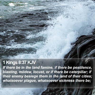1 Kings 8:37 KJV Bible Verse Image
