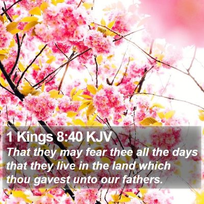 1 Kings 8:40 KJV Bible Verse Image
