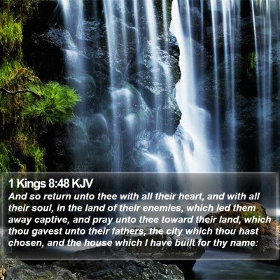 1 Kings 8:48 KJV Bible Verse Image