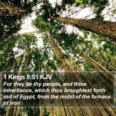1 Kings 8:51 KJV Bible Verse Image