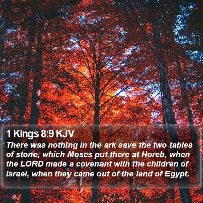 1 Kings 8:9 KJV Bible Verse Image