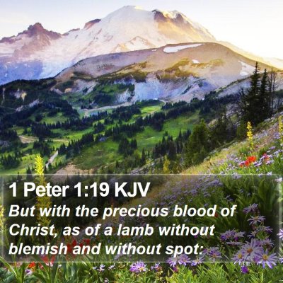 1 Peter 1:19 KJV Bible Verse Image