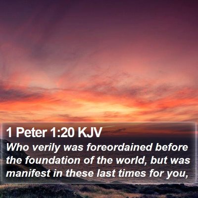 1 Peter 1:20 KJV Bible Verse Image