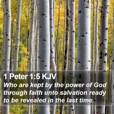 1 Peter 1:5 KJV Bible Verse Image