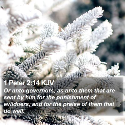 1 Peter 2:14 KJV Bible Verse Image