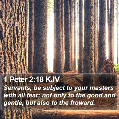 1 Peter 2:18 KJV Bible Verse Image