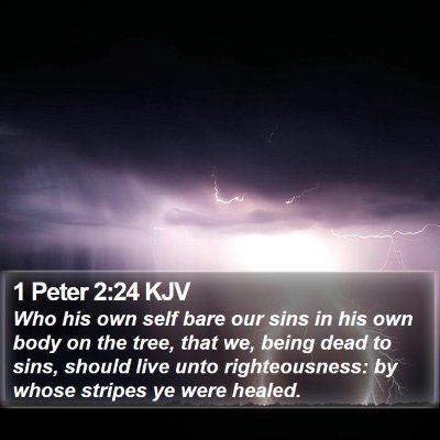 1 Peter 2:24 KJV Bible Verse Image