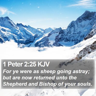 1 Peter 2:25 KJV Bible Verse Image