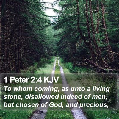 1 Peter 2:4 KJV Bible Verse Image