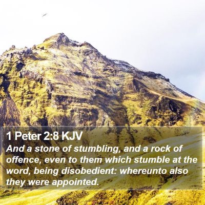 1 Peter 2:8 KJV Bible Verse Image