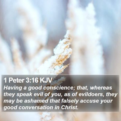 1 Peter 3:16 KJV Bible Verse Image