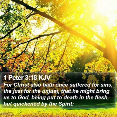 1 Peter 3:18 KJV Bible Verse Image