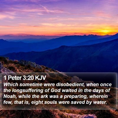 1 Peter 3:20 KJV Bible Verse Image