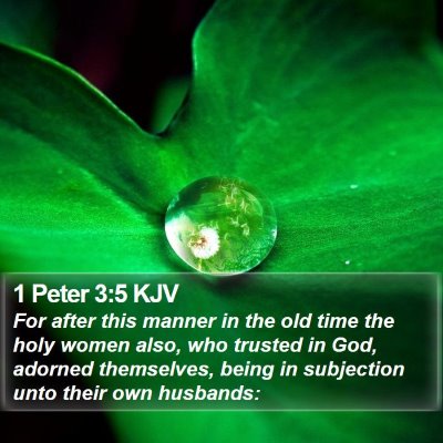 1 Peter 3:5 KJV Bible Verse Image