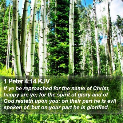 1 Peter 4:14 KJV Bible Verse Image