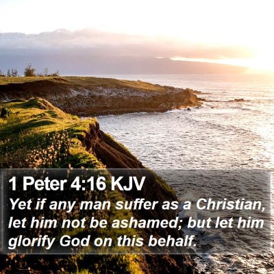 1 Peter 4:16 KJV Bible Verse Image