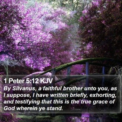 1 Peter 5:12 KJV Bible Verse Image