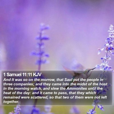 1 Samuel 11:11 KJV Bible Verse Image