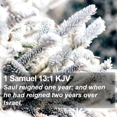 1 Samuel 13:1 KJV Bible Verse Image
