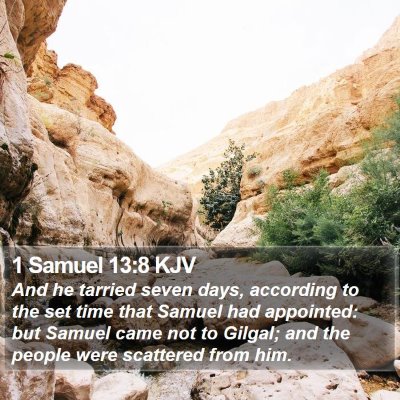 1 Samuel 13:8 KJV Bible Verse Image