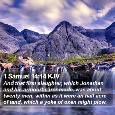 1 Samuel 14:14 KJV Bible Verse Image