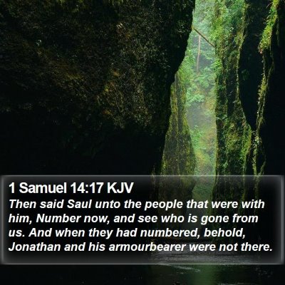 1 Samuel 14:17 KJV Bible Verse Image