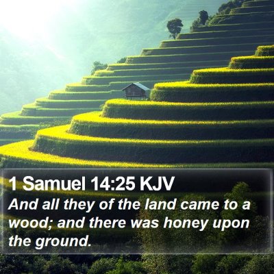 1 Samuel 14:25 KJV Bible Verse Image