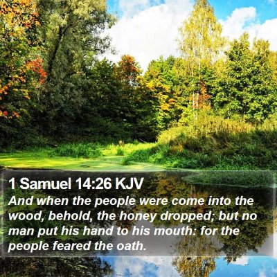 1 Samuel 14:26 KJV Bible Verse Image