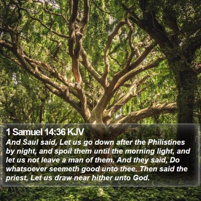 1 Samuel 14:36 KJV Bible Verse Image