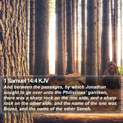 1 Samuel 14:4 KJV Bible Verse Image