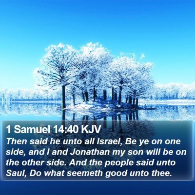 1 Samuel 14:40 KJV Bible Verse Image