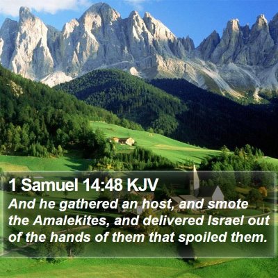 1 Samuel 14:48 KJV Bible Verse Image