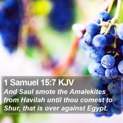 1 Samuel 15:7 KJV Bible Verse Image
